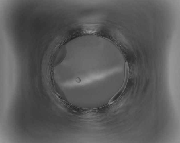 X0000111151441200907071059