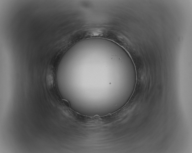 X0000111151442200907071059