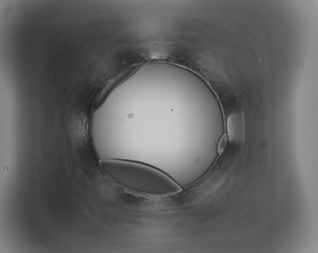 X0000111151443200907071059