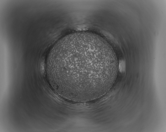X0000111151444200907071059