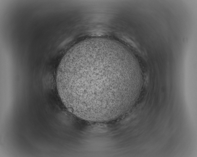 X0000111151446200907071059