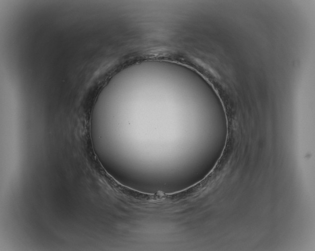 X0000111151447200907071059