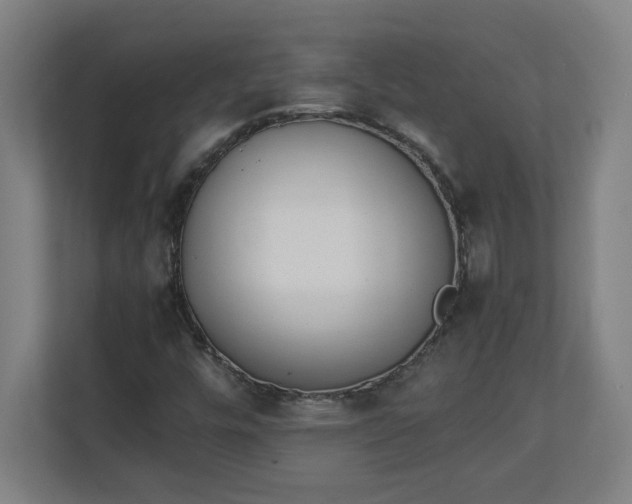 X0000111151448200907071059