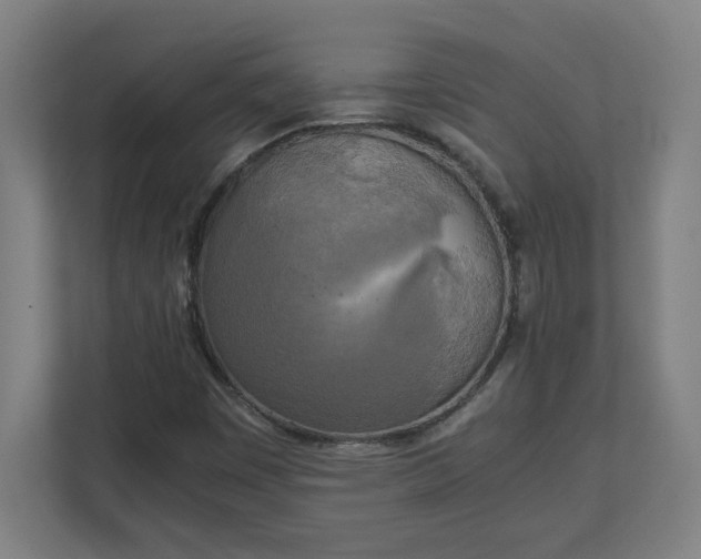 X0000111151449200907071059