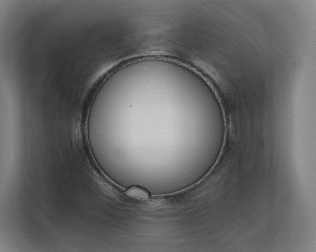 X0000111151452200907071059