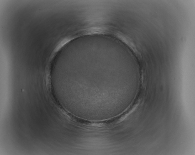X0000111151453200907071059
