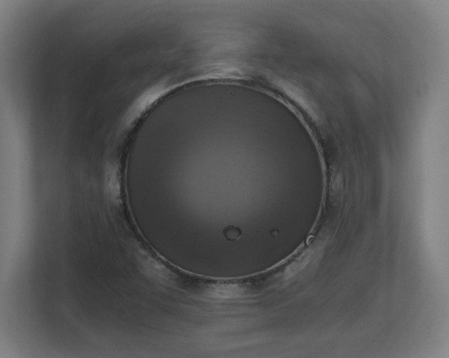 X0000111151455200907071059