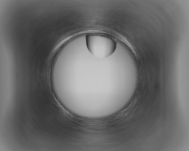 X0000111151456200907071059