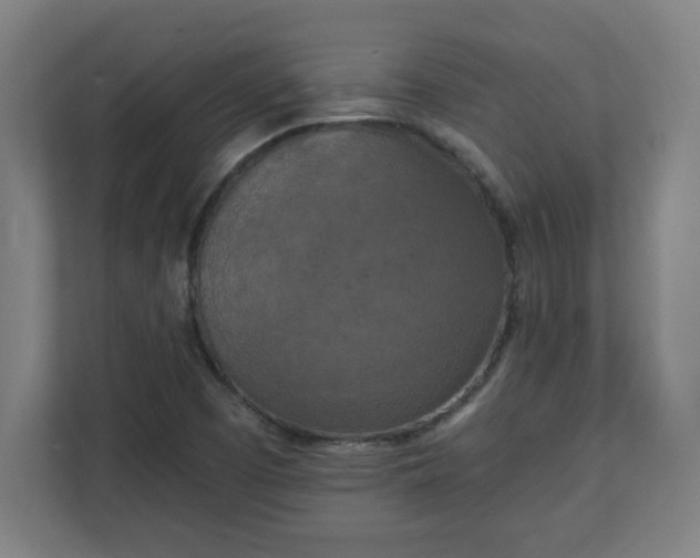 X0000111151457200907071059