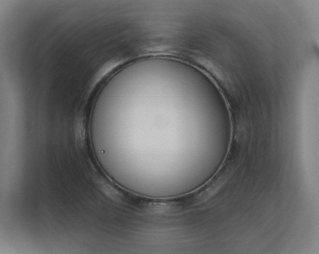 X0000111151458200907071059