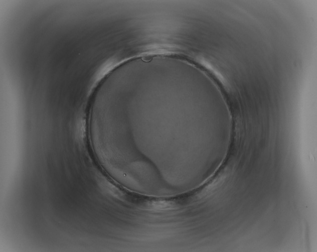 X0000111151459200907071059