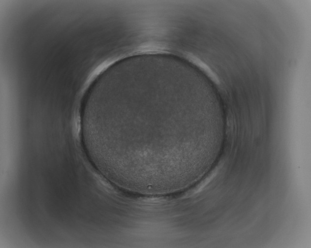 X0000111151461200907071059