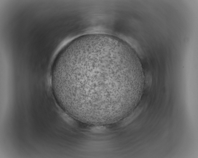 X0000111151462200907071059