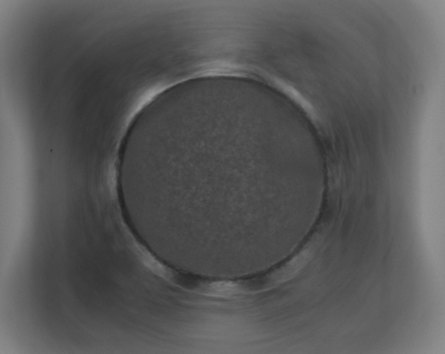 X0000111151463200907071059