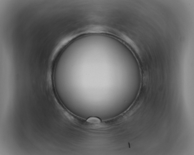 X0000111151464200907071059
