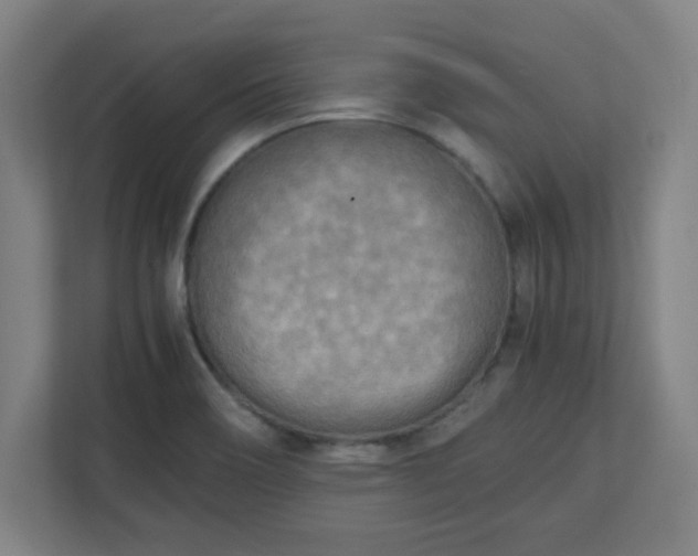 X0000111151466200907071059