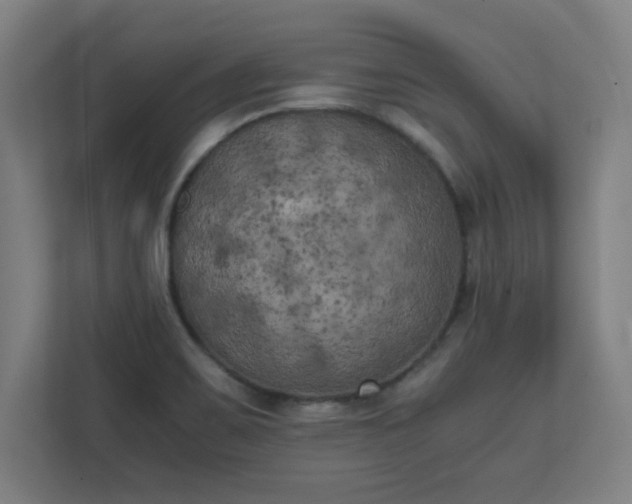 X0000111151467200907071059