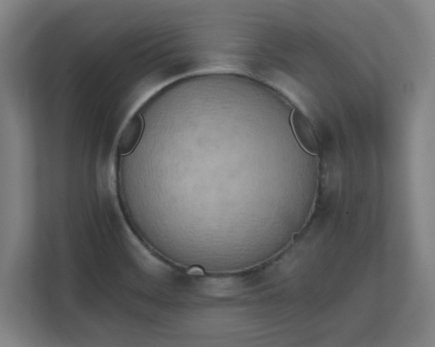 X0000111151468200907071059