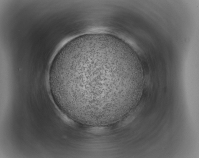 X0000111151470200907071059