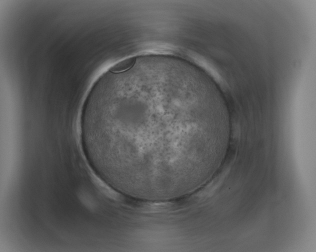 X0000111151471200907071059