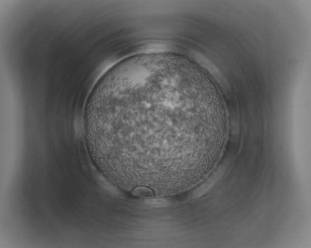 X0000111151473200907071059