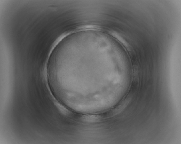 X0000111151474200907071059