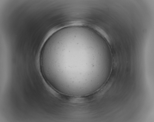 X0000111151475200907071059