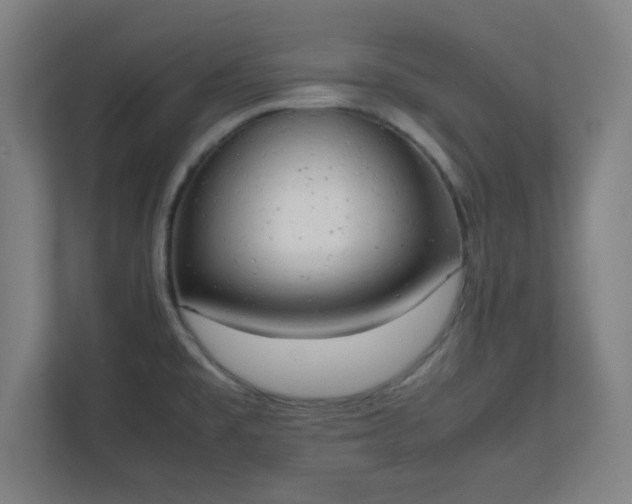 X0000111151477200907071059
