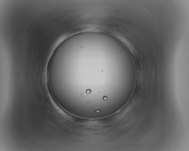 X0000111151479200907071059