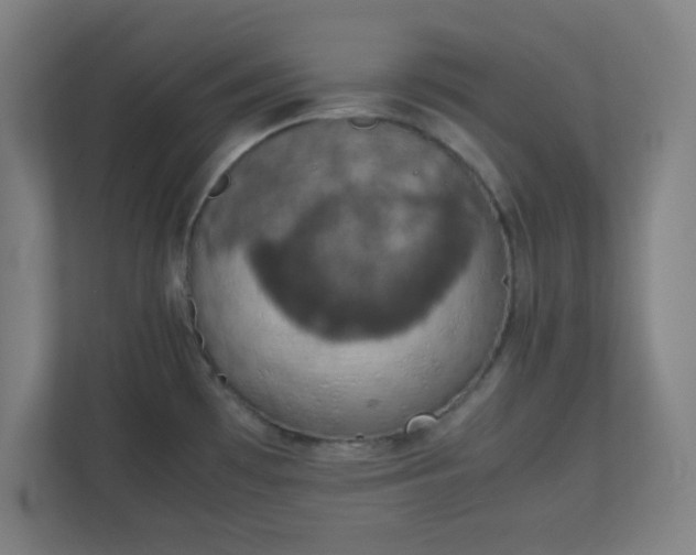 X0000111151481200907071059
