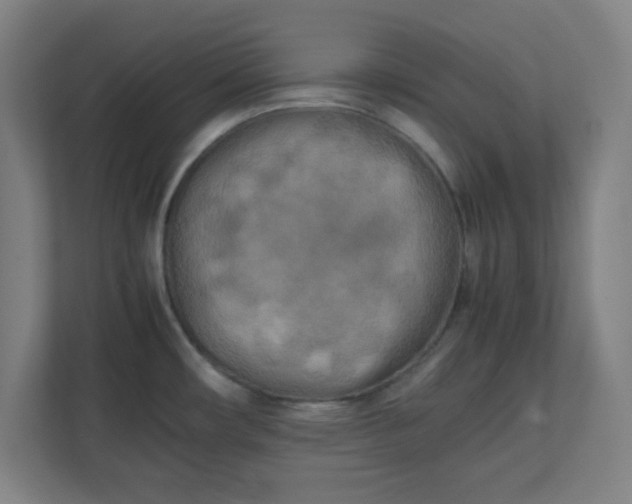 X0000111151482200907071059