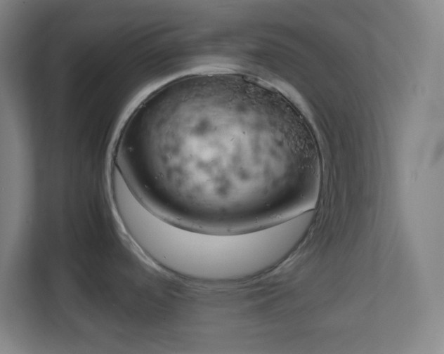 X0000111151488200907071059