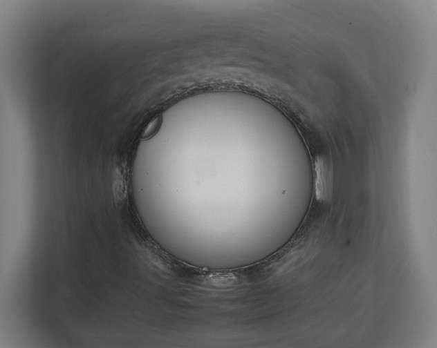X0000111151491200907071058