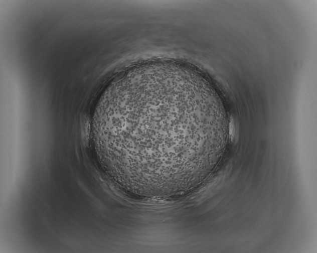X0000111151492200907071058