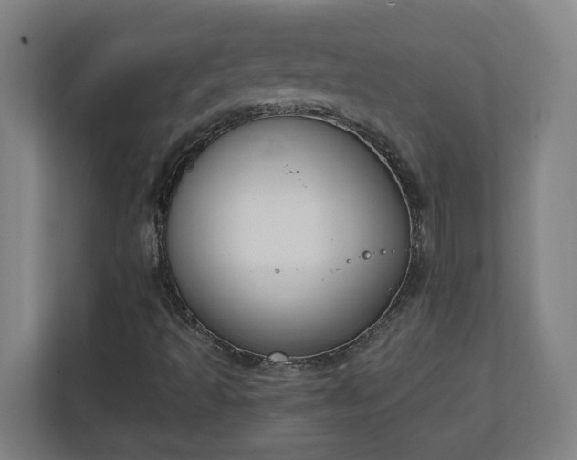 X0000111151493200907071058