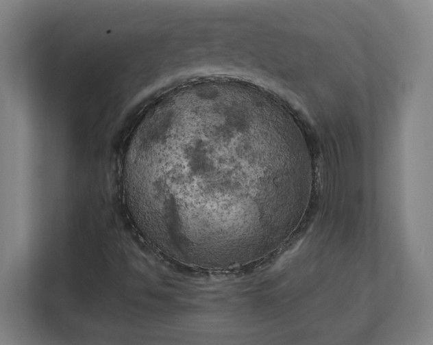 X0000111151494200907071058