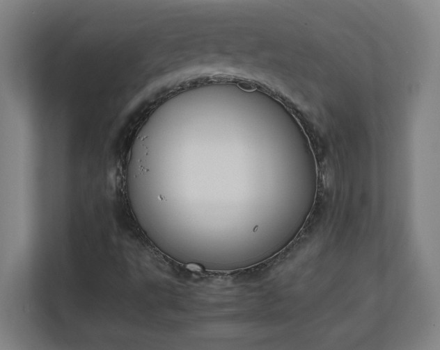 X0000111151495200907071058