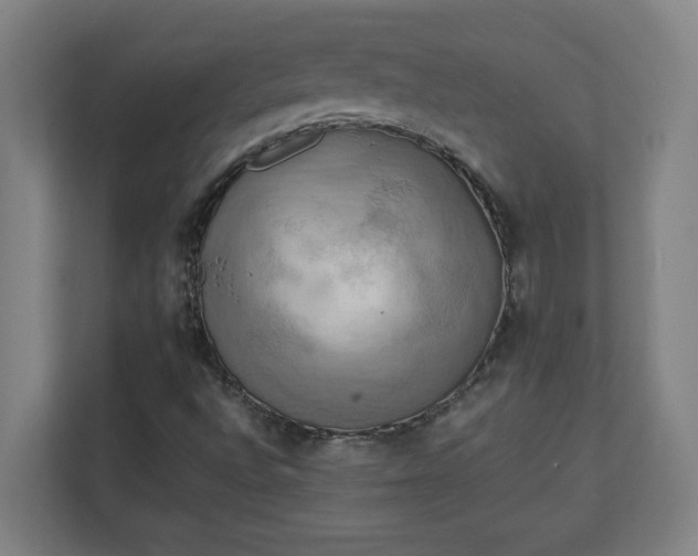 X0000111151496200907071058