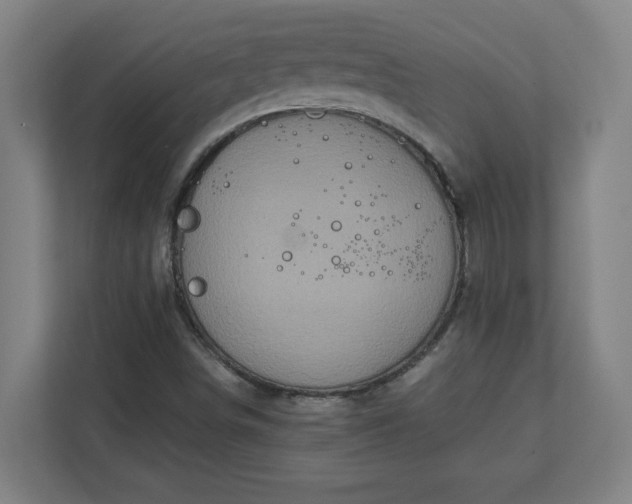 X0000111151498200907071058