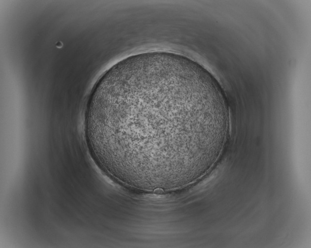 X0000111151500200907071058
