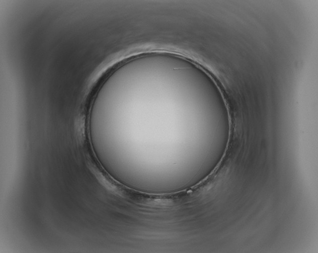 X0000111151503200907071058