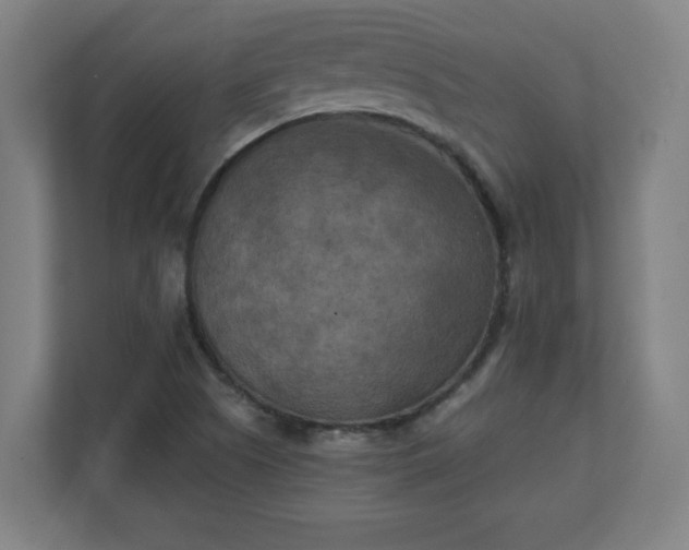 X0000111151505200907071058