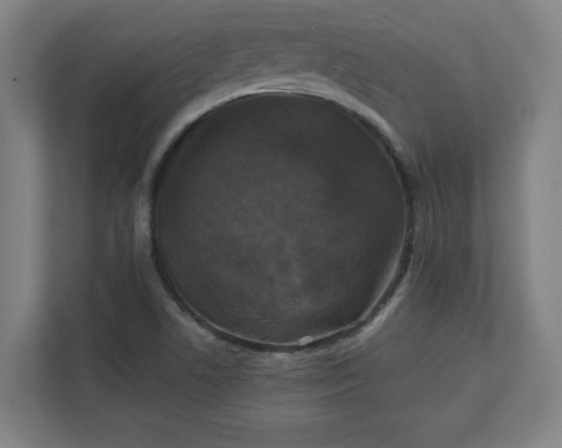 X0000111151506200907071058