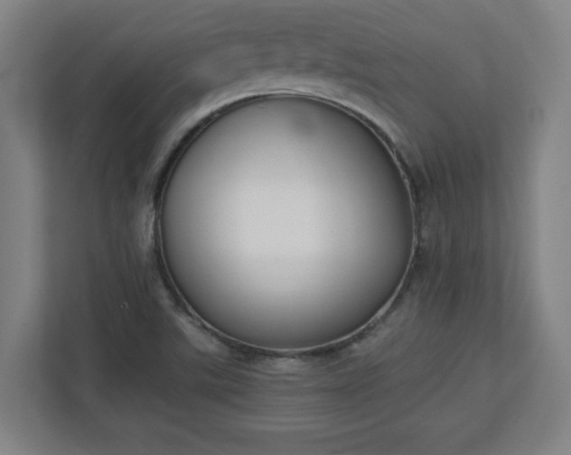 X0000111151507200907071058