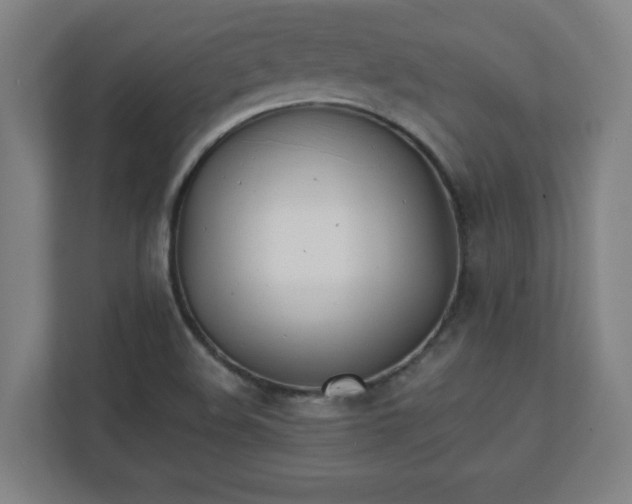 X0000111151508200907071058