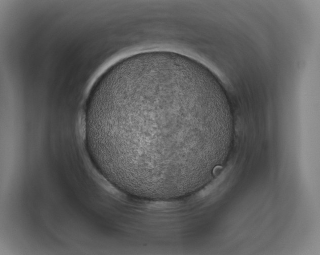 X0000111151510200907071058