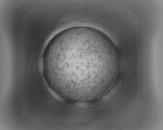 X0000111151511200907071058