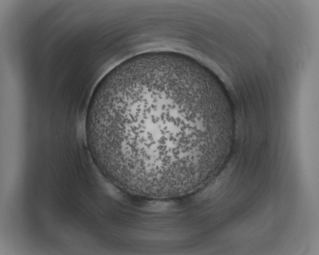X0000111151513200907071058