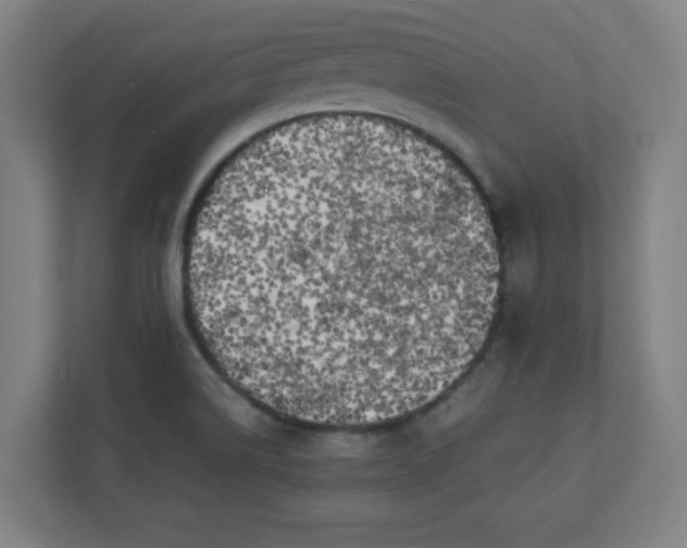X0000111151514200907071058