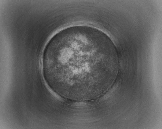 X0000111151515200907071058